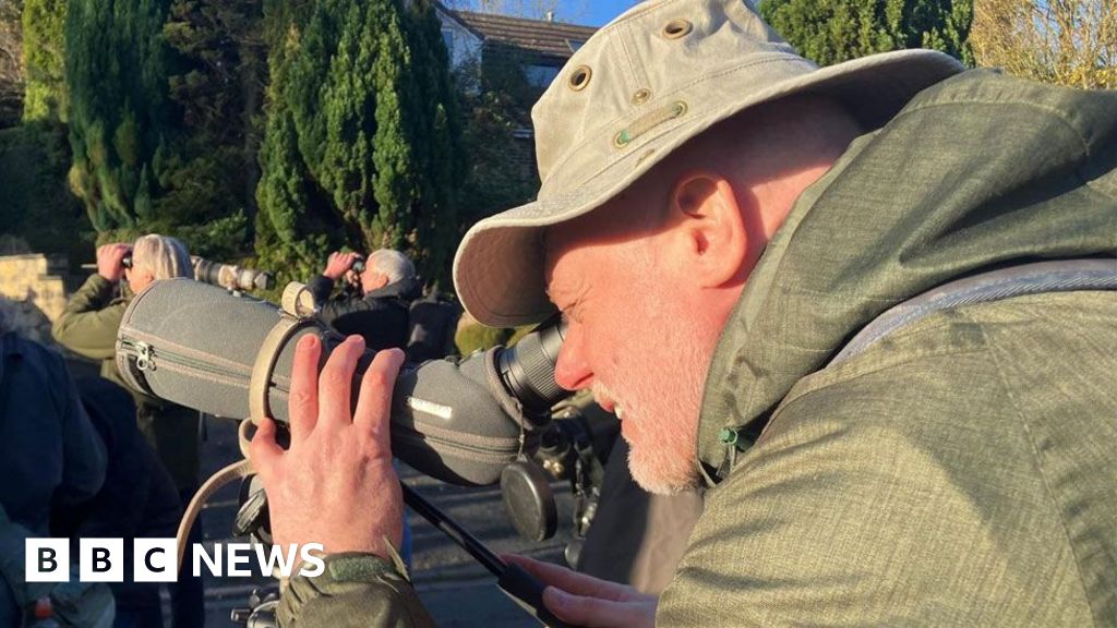 Crowds flock to Halifax to spot rare bird