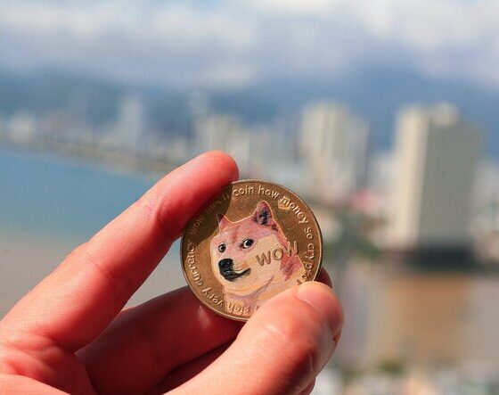 Dogecoin rockets 48% as traders target $1.00 price next