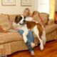 Pam Bondi, 59, was involved in a custody battle over her adopted St Bernard dog in 2005 after Hurricane Katrina