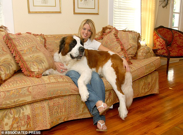 Pam Bondi, 59, was involved in a custody battle over her adopted St Bernard dog in 2005 after Hurricane Katrina