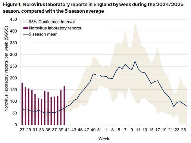 Figures released by the UK Health Security Agency (UKHSA) yesterday revealed cases of the winter bug jumped 41 per cent in just a fortnight