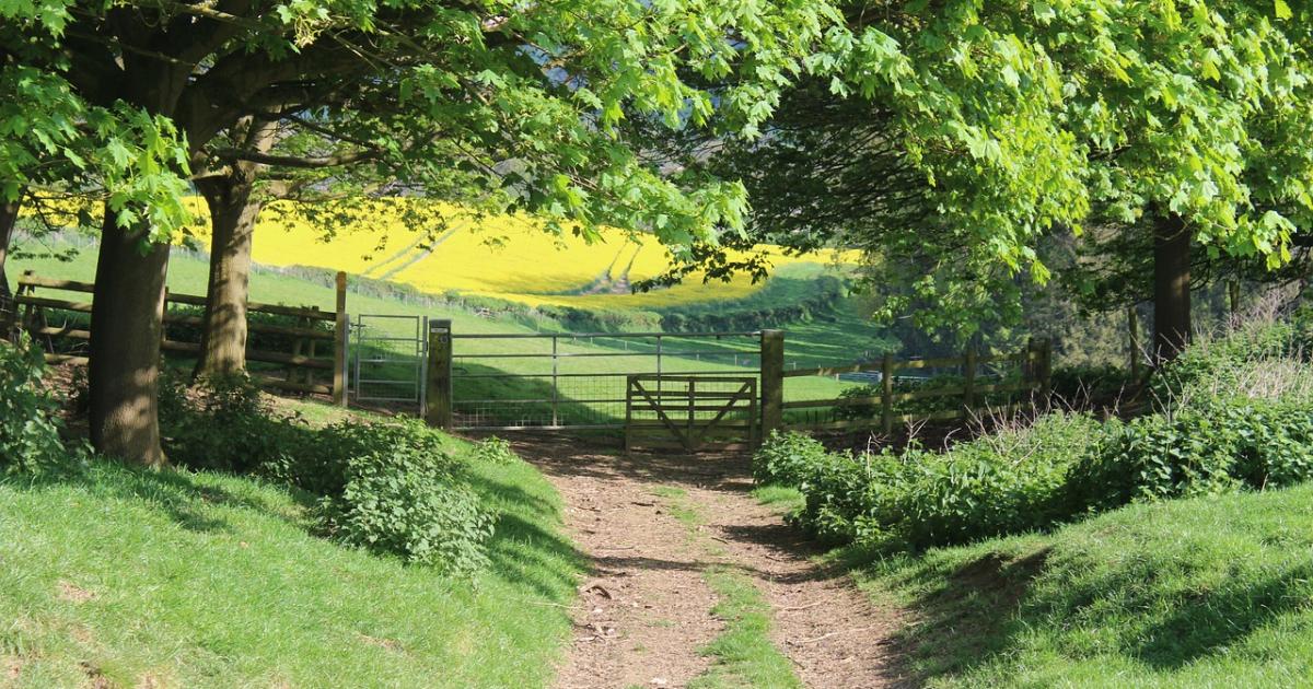 US star Ellen DeGeneres ‘moves to Cotswolds’ to ‘flee Trump’