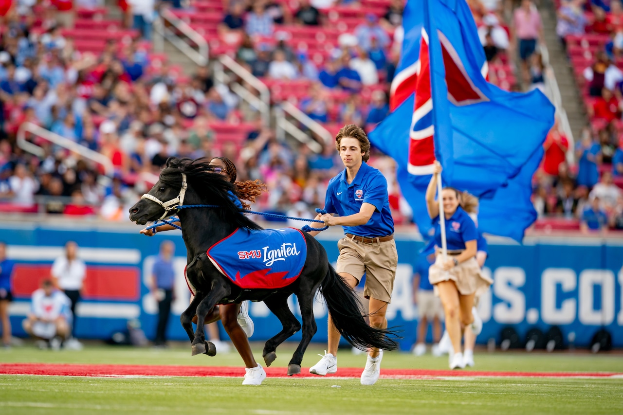 Where to watch SMU vs Pitt football streaming free today; TV channel, spread, game odds