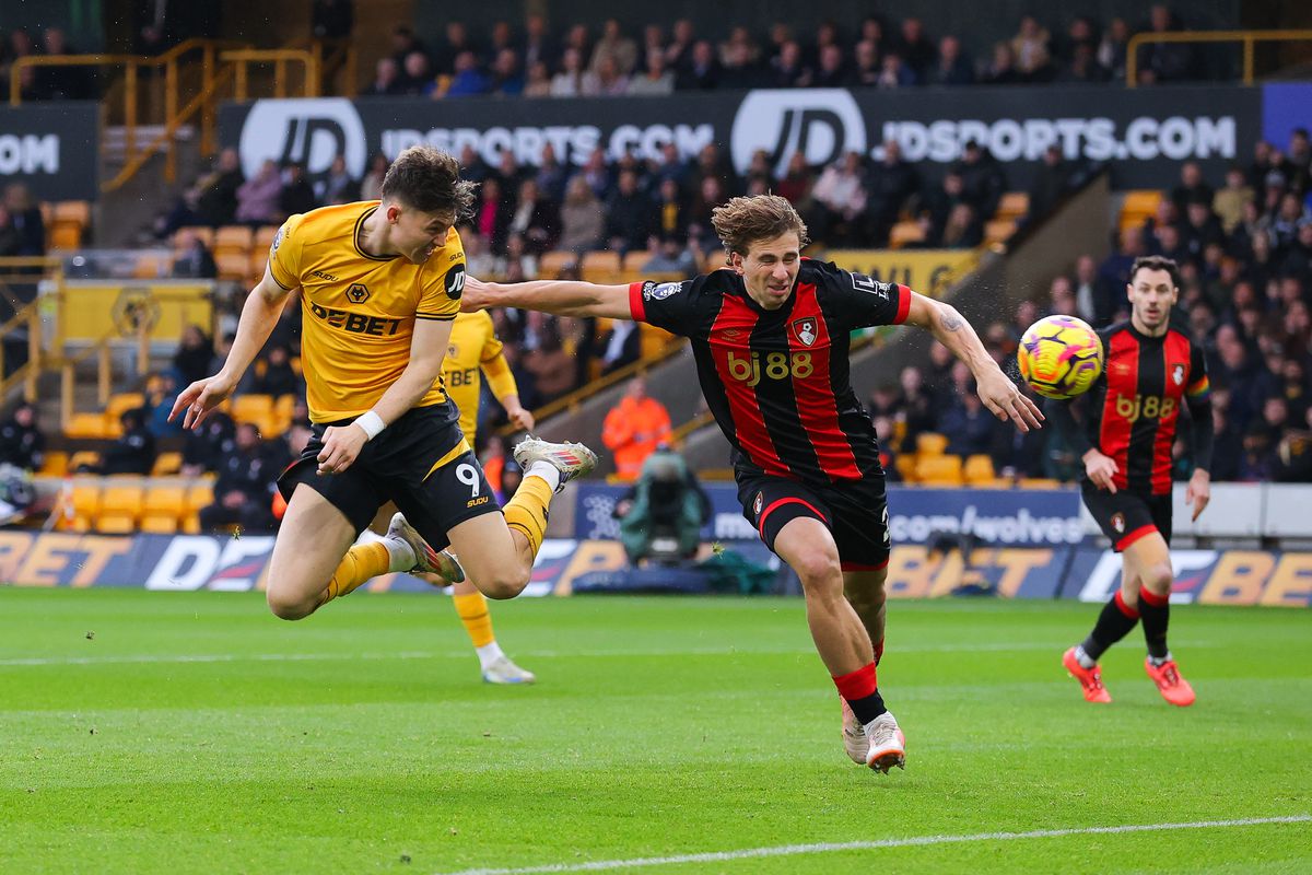 Wolverhampton Wanderers FC v AFC Bournemouth - Premier League