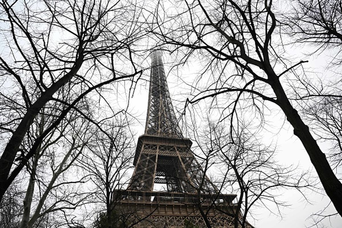 Eiffel Tower evacuated after fire alarm malfunction with Christmas visitors unable to access Paris attraction