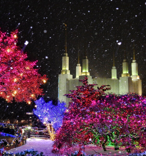 Festival of Lights at Kensington LDS Temple brings huge crowds and traffic problems