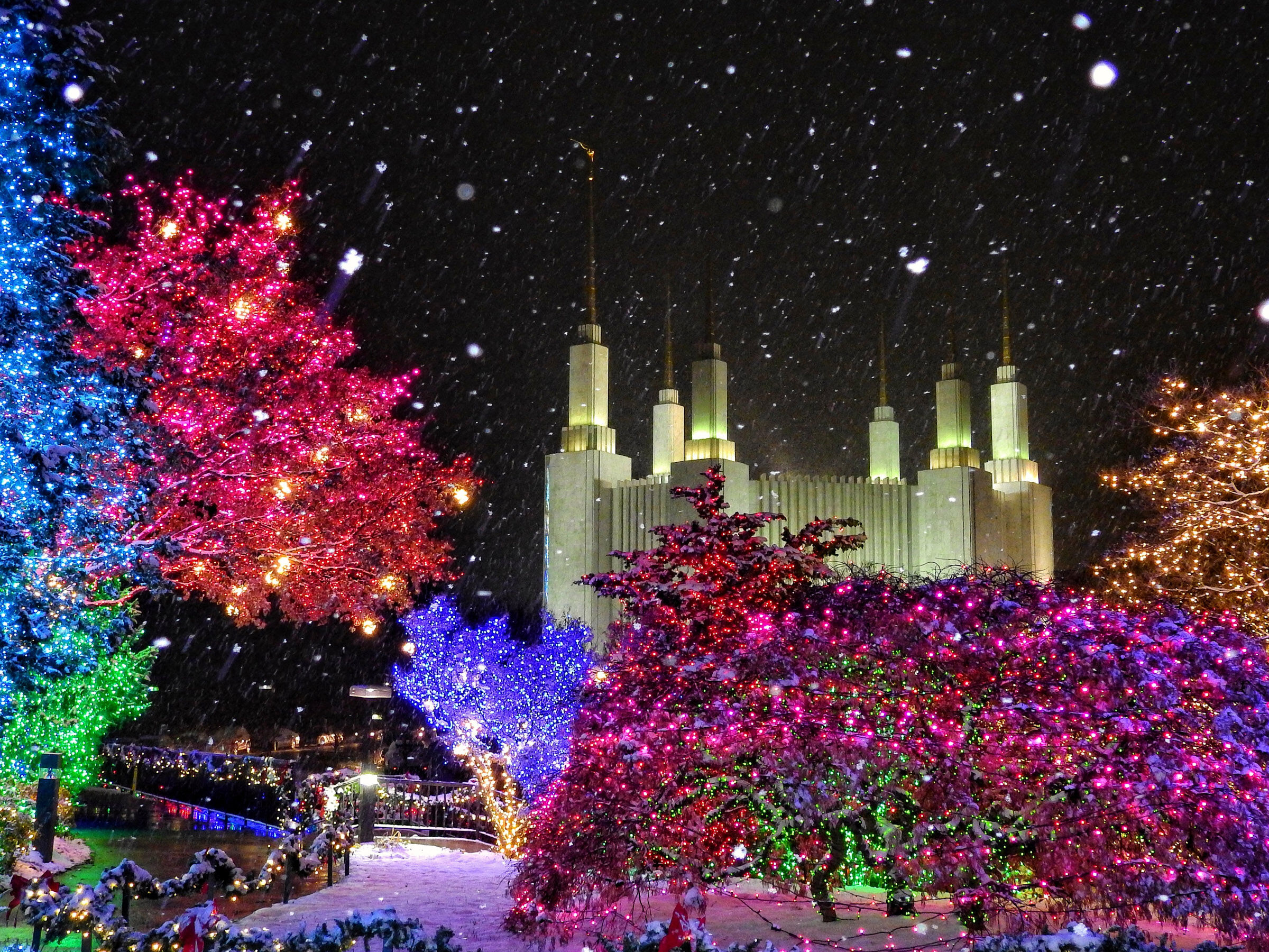 Festival of Lights at Kensington LDS Temple brings huge crowds and traffic problems