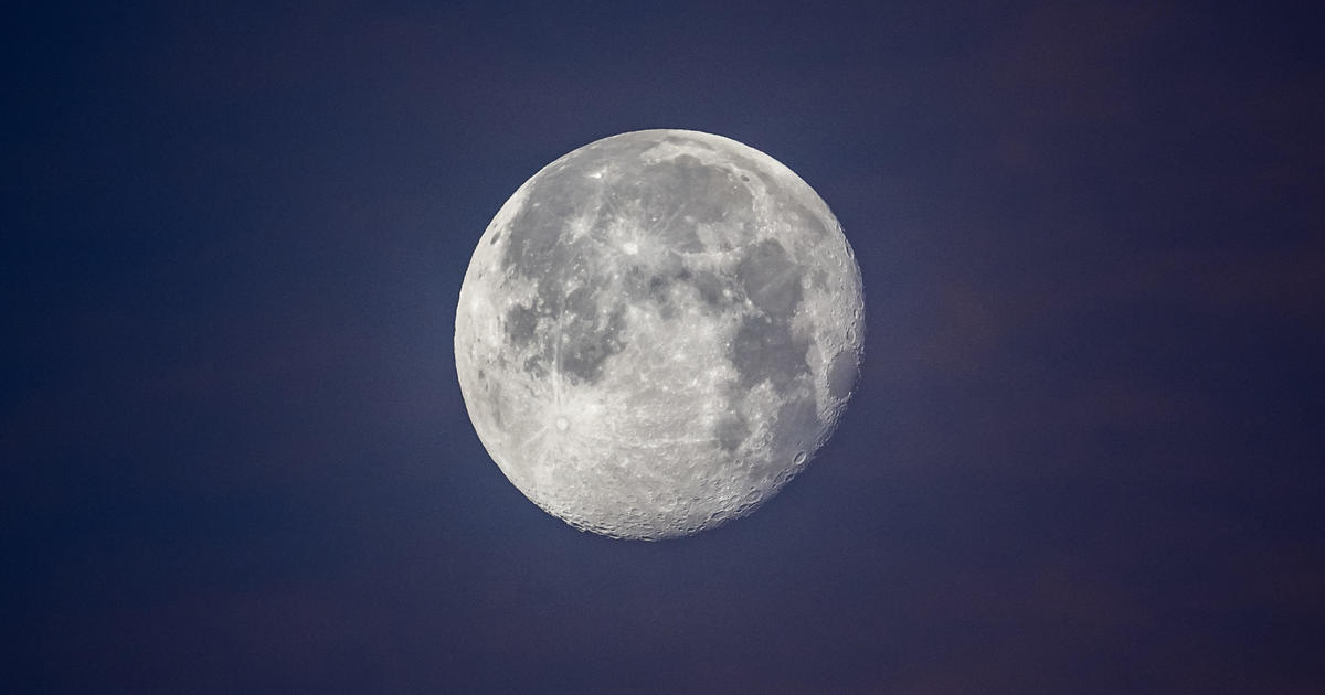 December's Cold Moon is the last full moon of 2024. Here's when it peaks and how it got its name.