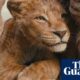 From Mufasa to Gavin and Stacey: a complete guide to the week’s entertainment in the UK | Culture