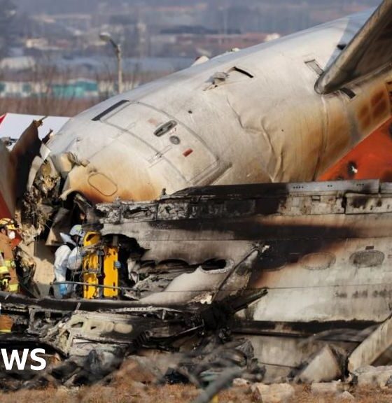 South Korea plane crash kills 179 with investigation under way