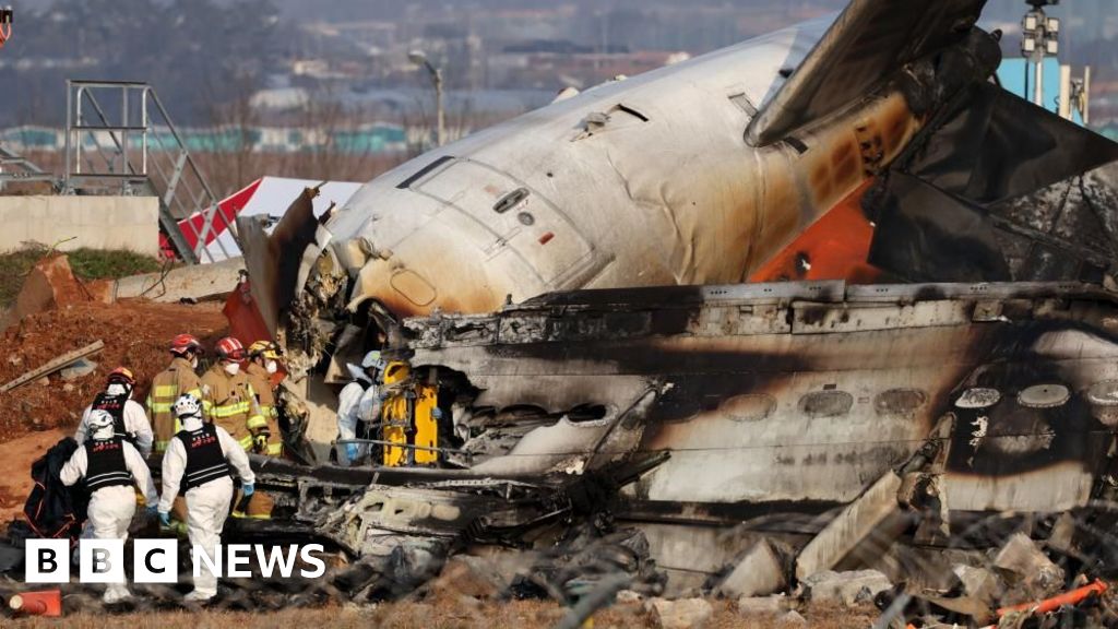 South Korea plane crash kills 179 with investigation under way