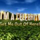 Who won I'm A Celebrity 2024? Full list of series winners