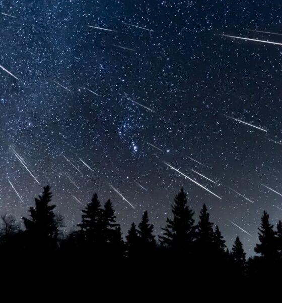 Quadrantids 2025: When and where to see 2025’s first meteor shower in UK