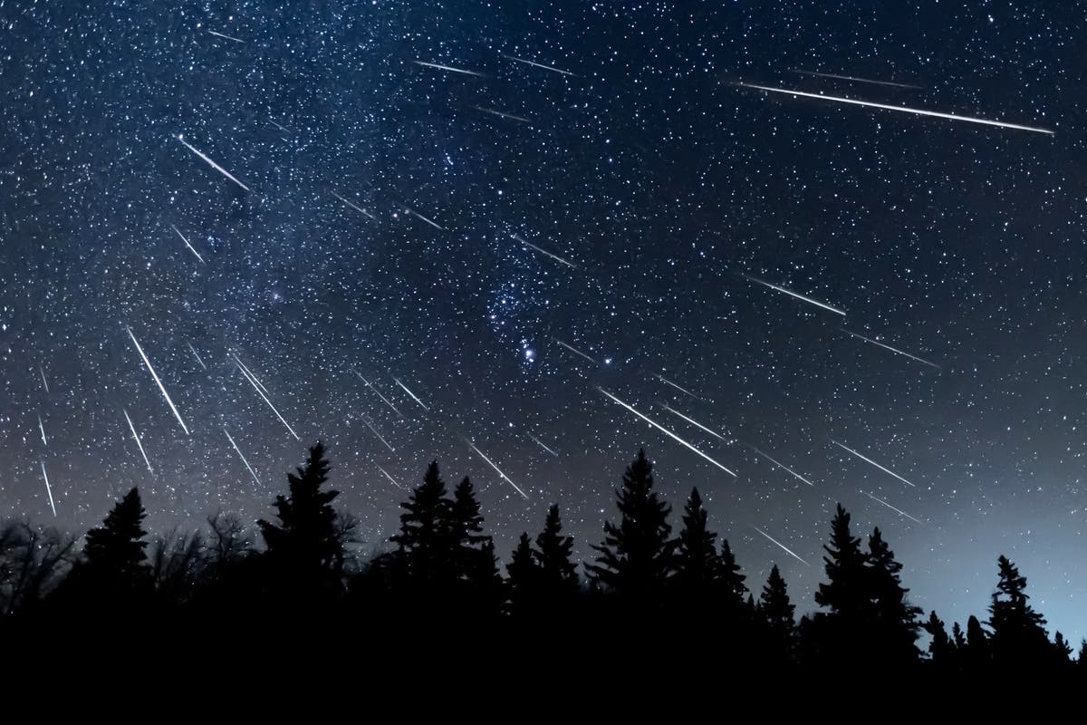 Quadrantids 2025: When and where to see 2025’s first meteor shower in UK