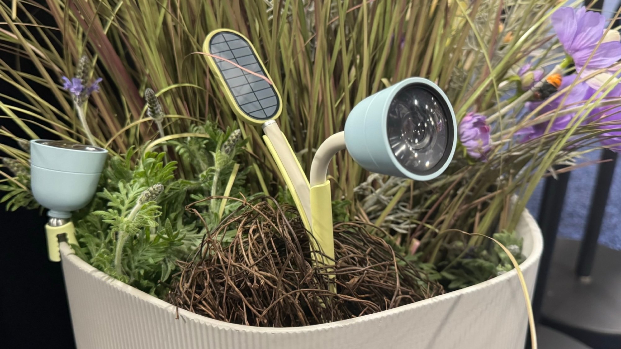 An AI camera sitting in a pot plant at CES.