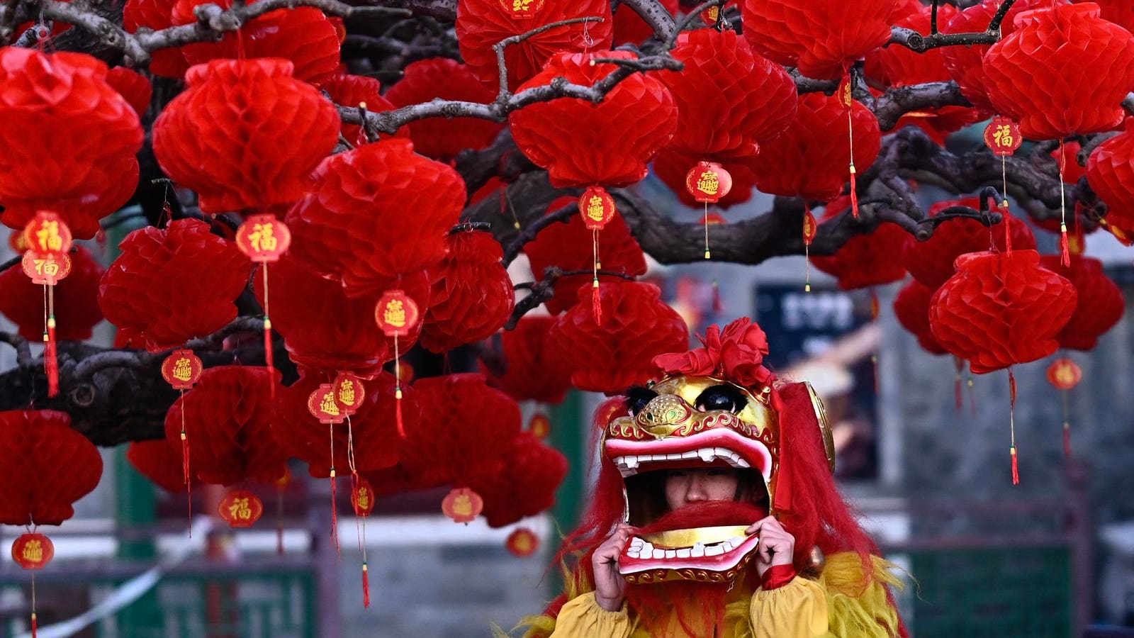 Elaborate Lunar New Year Celebrations Usher In Chinese Zodiac Year Of The Snake