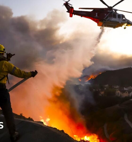 Pacific Palisades: The celebrity Los Angeles area ravaged by wildfire