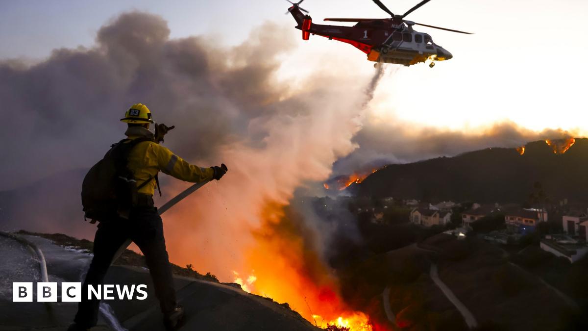 Pacific Palisades: The celebrity Los Angeles area ravaged by wildfire