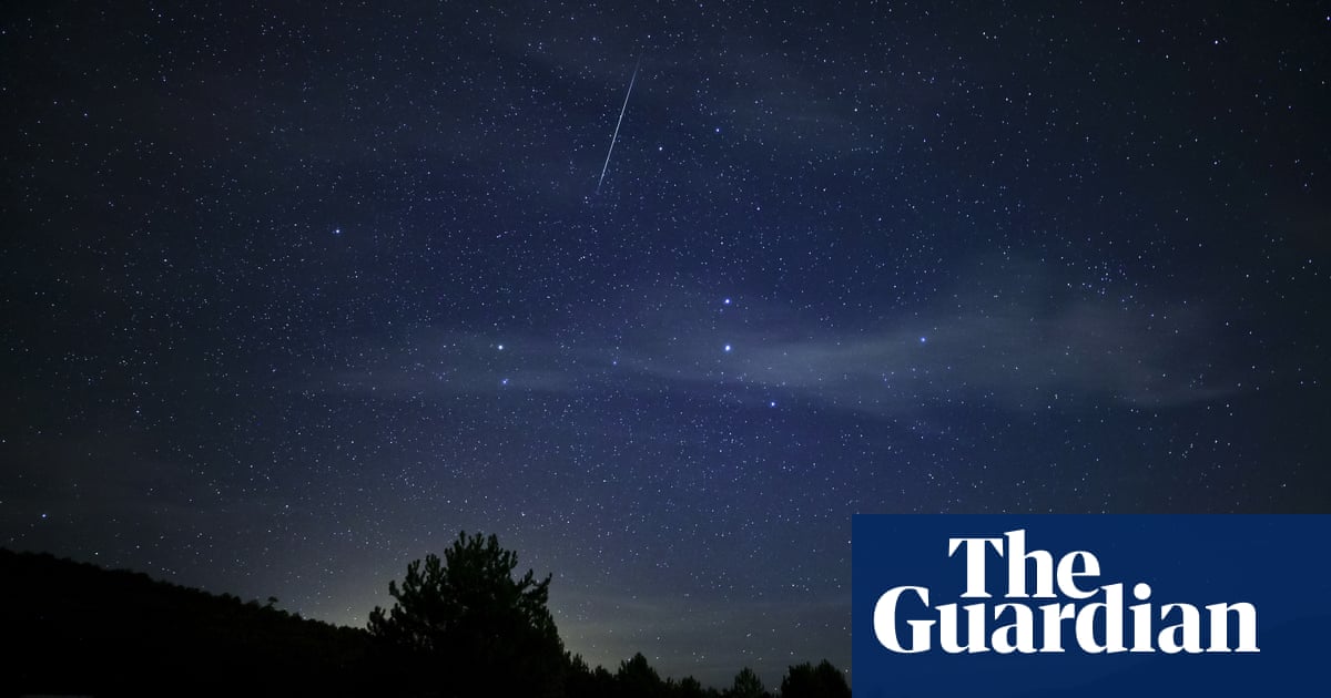 Quadrantid meteor shower to light up northern hemisphere sky | Meteors