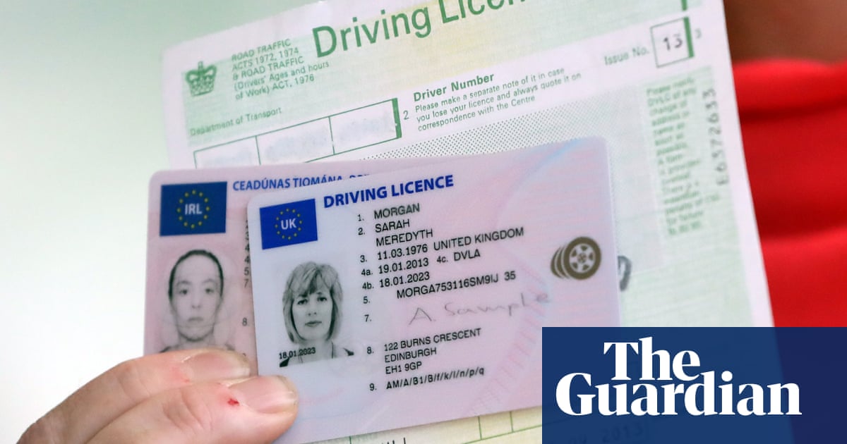 UK to introduce digital driving licences to ‘transform public services’ | Politics