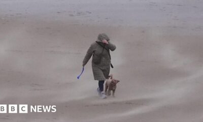 Wind, rain and flood warnings across much of UK