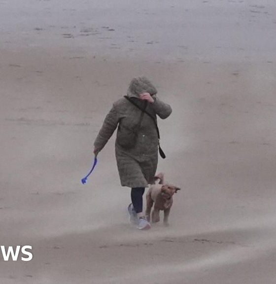 Wind, rain and flood warnings across much of UK